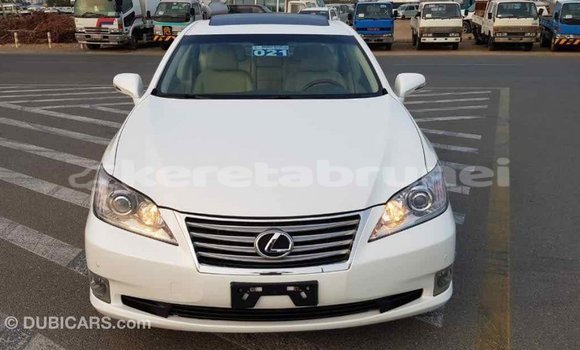 Buy Import Lexus ES White Car in Import - Dubai in Belait
