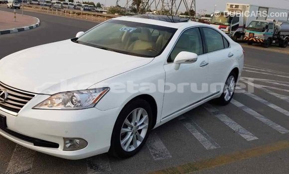 Buy Import Lexus ES White Car in Import - Dubai in Belait Buy Import Lexus ES White Car in Import - Dubai in Belait