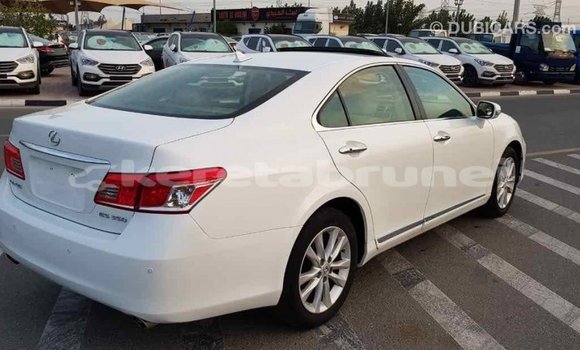 Buy Import Lexus ES White Car in Import - Dubai in Belait Buy Import Lexus ES White Car in Import - Dubai in Belait
