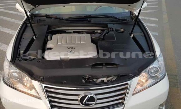 Buy Import Lexus ES White Car in Import - Dubai in Belait Buy Import Lexus ES White Car in Import - Dubai in Belait