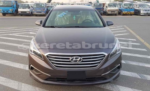 Buy Import Hyundai Sonata Brown Car in Import - Dubai in Belait Buy Import Hyundai Sonata Brown Car in Import - Dubai in Belait