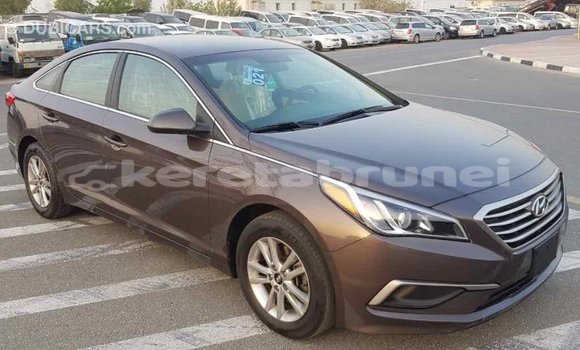 Buy Import Hyundai Sonata Brown Car in Import - Dubai in Belait Buy Import Hyundai Sonata Brown Car in Import - Dubai in Belait