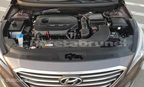 Buy Import Hyundai Sonata Brown Car in Import - Dubai in Belait Buy Import Hyundai Sonata Brown Car in Import - Dubai in Belait
