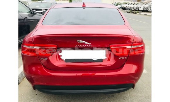 Buy Import Jaguar XE Red Car in Import - Dubai in Belait Buy Import Jaguar XE Red Car in Import - Dubai in Belait