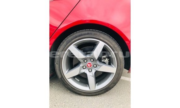 Buy Import Jaguar XE Red Car in Import - Dubai in Belait Buy Import Jaguar XE Red Car in Import - Dubai in Belait