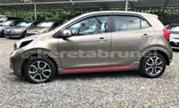 Buy Used Kia Picanto Other Car in Bandar Seri Begawan in Brunei-Muara Buy Used Kia Picanto Other Car in Bandar Seri Begawan in Brunei-Muara