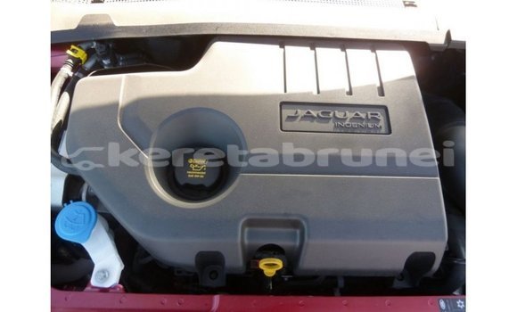 Buy Import Jaguar E-Pace Red Car in Import - Dubai in Belait Buy Import Jaguar E-Pace Red Car in Import - Dubai in Belait