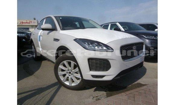 Buy Import Jaguar E-Pace White Car in Import - Dubai in Belait