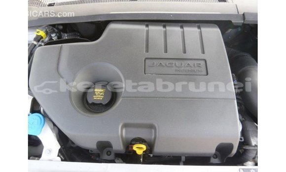 Buy Import Jaguar E-Pace White Car in Import - Dubai in Belait Buy Import Jaguar E-Pace White Car in Import - Dubai in Belait