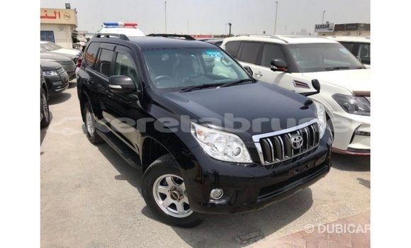 Buy Import Toyota Prado Black Car in Import - Dubai in Belait Buy Import Toyota Prado Black Car in Import - Dubai in Belait