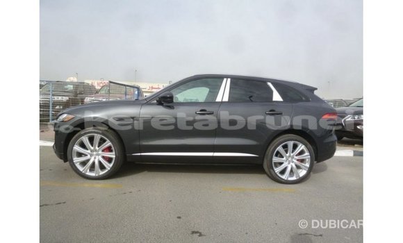 Buy Import Jaguar F-Type Black Car in Import - Dubai in Belait Buy Import Jaguar F-Type Black Car in Import - Dubai in Belait