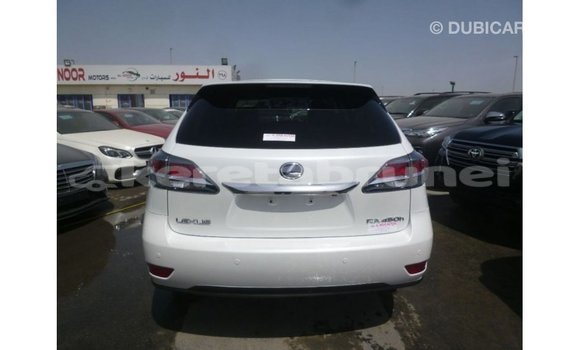 Buy Import Lexus RX White Car in Import - Dubai in Belait Buy Import Lexus RX White Car in Import - Dubai in Belait