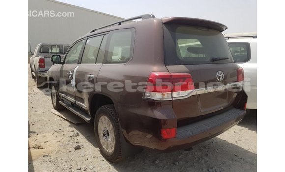 Buy Import Toyota Land Cruiser Brown Car in Import - Dubai in Belait Buy Import Toyota Land Cruiser Brown Car in Import - Dubai in Belait