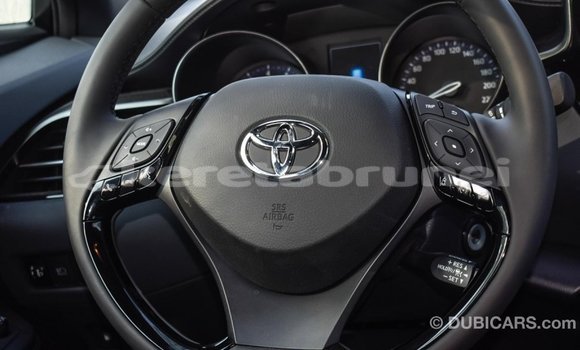 Buy Import Toyota C-HR Other Car in Import - Dubai in Belait Buy Import Toyota C-HR Other Car in Import - Dubai in Belait