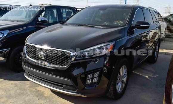 Buy Import Kia Sorento Black Car in Import - Dubai in Belait Buy Import Kia Sorento Black Car in Import - Dubai in Belait