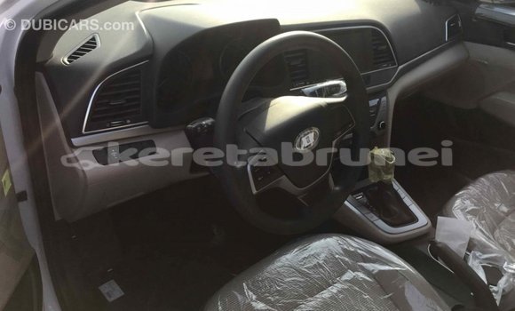 Buy Import Hyundai Elantra White Car in Import - Dubai in Belait Buy Import Hyundai Elantra White Car in Import - Dubai in Belait