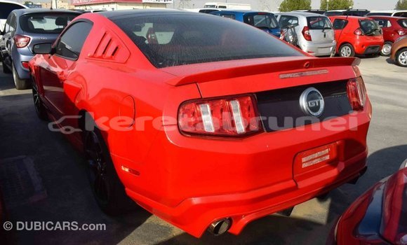 Buy Import Ford Mustang Red Car in Import - Dubai in Belait Buy Import Ford Mustang Red Car in Import - Dubai in Belait