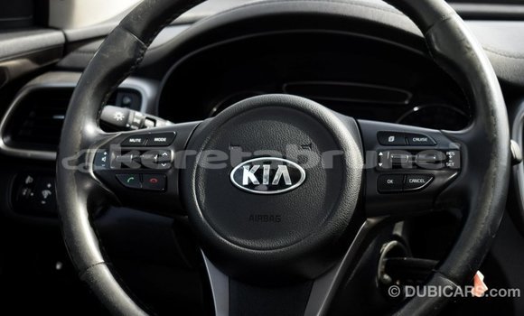 Buy Import Kia Sorento Other Car in Import - Dubai in Belait Buy Import Kia Sorento Other Car in Import - Dubai in Belait