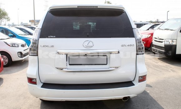 Buy Import Lexus GX White Car in Import - Dubai in Belait Buy Import Lexus GX White Car in Import - Dubai in Belait