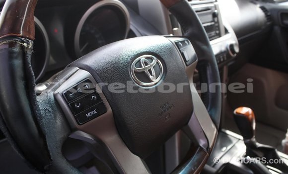 Buy Import Toyota Prado Other Car in Import - Dubai in Belait Buy Import Toyota Prado Other Car in Import - Dubai in Belait