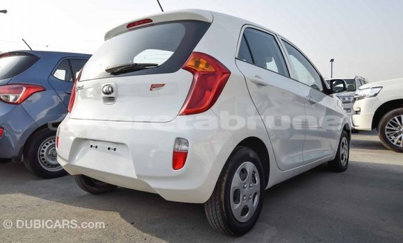 Buy Import Kia Picanto White Car in Import - Dubai in Belait Buy Import Kia Picanto White Car in Import - Dubai in Belait