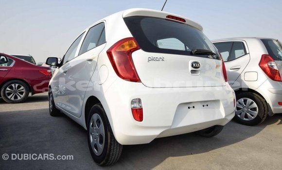 Buy Import Kia Picanto White Car in Import - Dubai in Belait Buy Import Kia Picanto White Car in Import - Dubai in Belait