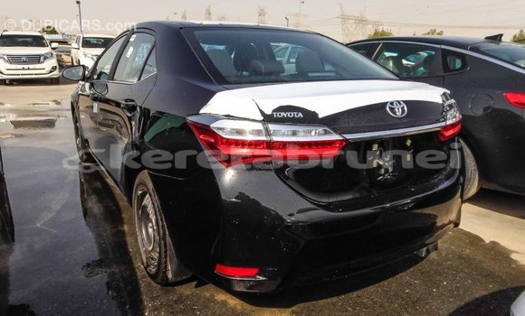 Buy Import Toyota Corolla Black Car in Import - Dubai in Belait Buy Import Toyota Corolla Black Car in Import - Dubai in Belait