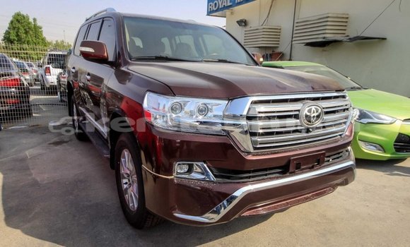 Buy Import Toyota Land Cruiser Brown Car in Import - Dubai in Belait Buy Import Toyota Land Cruiser Brown Car in Import - Dubai in Belait