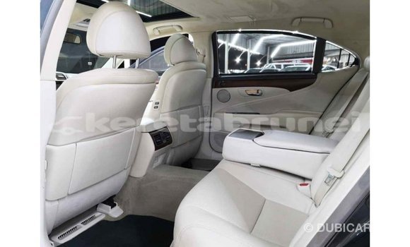 Buy Import Lexus LS Other Car in Import - Dubai in Belait Buy Import Lexus LS Other Car in Import - Dubai in Belait