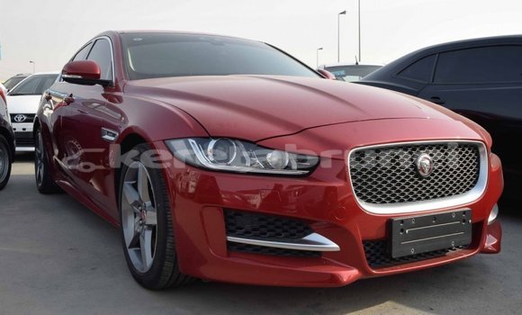 Buy Import Jaguar XE Red Car in Import - Dubai in Belait