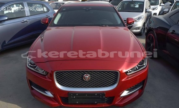 Buy Import Jaguar XE Red Car in Import - Dubai in Belait Buy Import Jaguar XE Red Car in Import - Dubai in Belait