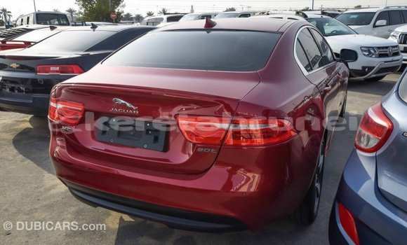 Buy Import Jaguar XE Red Car in Import - Dubai in Belait Buy Import Jaguar XE Red Car in Import - Dubai in Belait