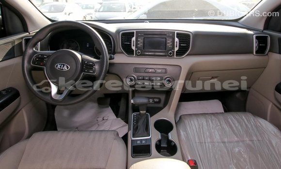 Buy Import Kia Sportage Other Car in Import - Dubai in Belait Buy Import Kia Sportage Other Car in Import - Dubai in Belait