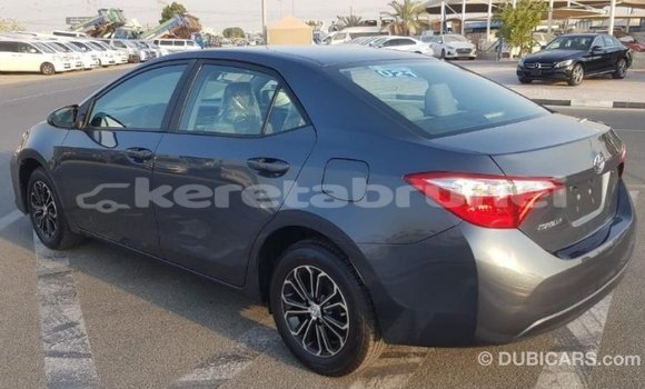 Buy Import Toyota Corolla Other Car in Import - Dubai in Belait Buy Import Toyota Corolla Other Car in Import - Dubai in Belait