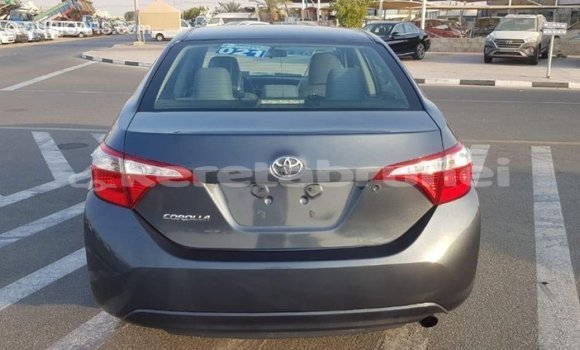 Buy Import Toyota Corolla Other Car in Import - Dubai in Belait Buy Import Toyota Corolla Other Car in Import - Dubai in Belait