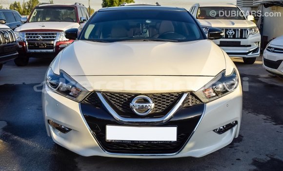 Buy Import Nissan Maxima White Car in Import - Dubai in Belait Buy Import Nissan Maxima White Car in Import - Dubai in Belait