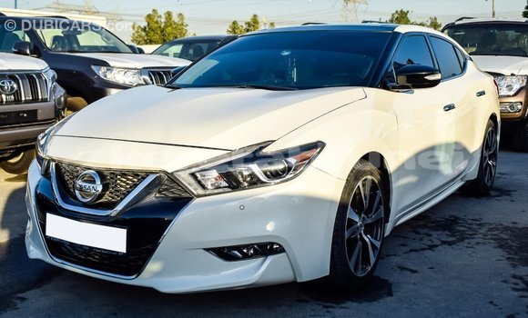 Buy Import Nissan Maxima White Car in Import - Dubai in Belait Buy Import Nissan Maxima White Car in Import - Dubai in Belait
