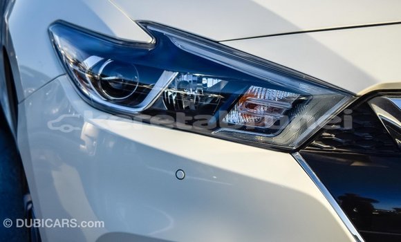 Buy Import Nissan Maxima White Car in Import - Dubai in Belait Buy Import Nissan Maxima White Car in Import - Dubai in Belait