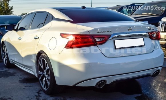 Buy Import Nissan Maxima White Car in Import - Dubai in Belait Buy Import Nissan Maxima White Car in Import - Dubai in Belait