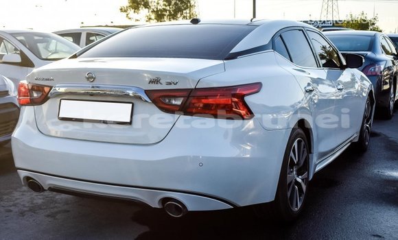 Buy Import Nissan Maxima White Car in Import - Dubai in Belait Buy Import Nissan Maxima White Car in Import - Dubai in Belait