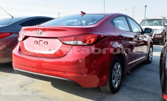 Buy Import Hyundai Elantra Red Car in Import - Dubai in Belait Buy Import Hyundai Elantra Red Car in Import - Dubai in Belait