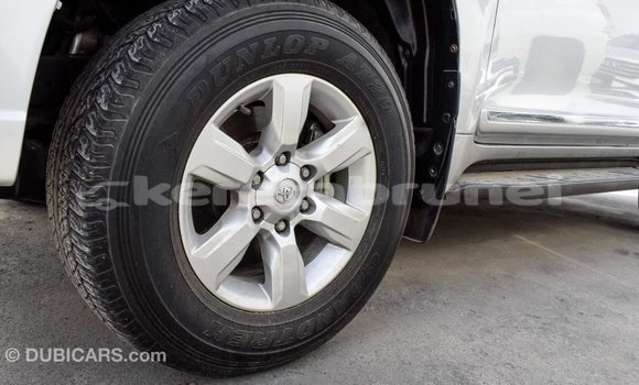 Buy Import Toyota Prado Other Car in Import - Dubai in Belait Buy Import Toyota Prado Other Car in Import - Dubai in Belait