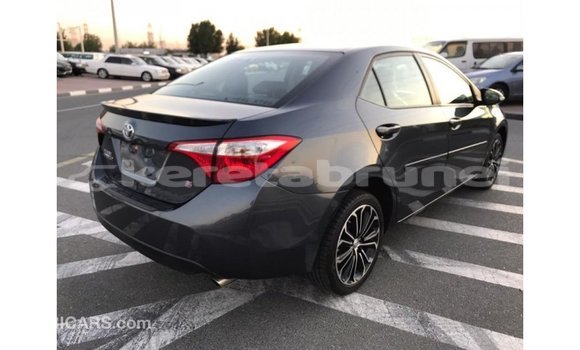 Buy Import Toyota Corolla Other Car in Import - Dubai in Belait Buy Import Toyota Corolla Other Car in Import - Dubai in Belait