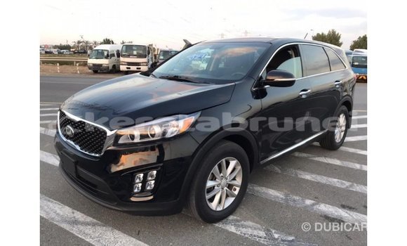 Buy Import Kia Sorento Black Car in Import - Dubai in Belait Buy Import Kia Sorento Black Car in Import - Dubai in Belait