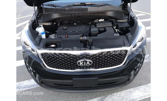 Buy Import Kia Sorento Black Car in Import - Dubai in Belait Buy Import Kia Sorento Black Car in Import - Dubai in Belait
