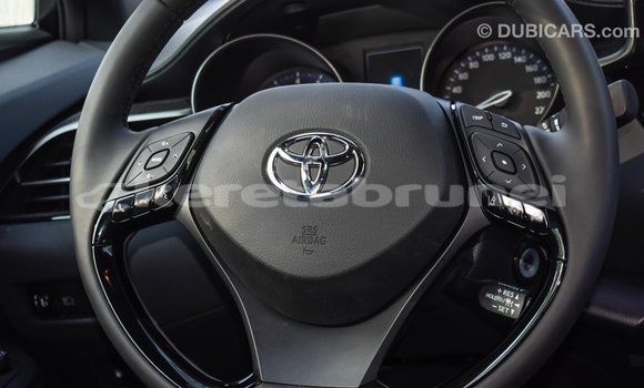 Buy Import Toyota C-HR Other Car in Import - Dubai in Belait Buy Import Toyota C-HR Other Car in Import - Dubai in Belait