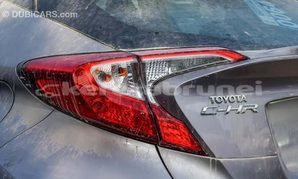 Buy Import Toyota C-HR Other Car in Import - Dubai in Belait Buy Import Toyota C-HR Other Car in Import - Dubai in Belait