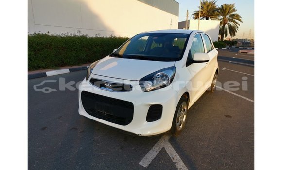 Buy Import Kia Picanto White Car in Import - Dubai in Belait Buy Import Kia Picanto White Car in Import - Dubai in Belait
