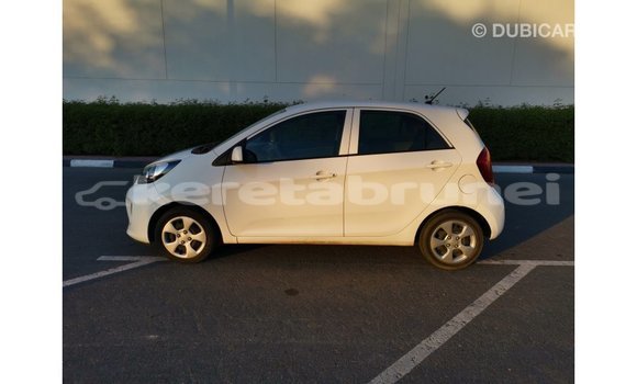 Buy Import Kia Picanto White Car in Import - Dubai in Belait Buy Import Kia Picanto White Car in Import - Dubai in Belait