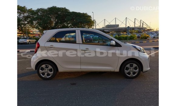 Buy Import Kia Picanto White Car in Import - Dubai in Belait Buy Import Kia Picanto White Car in Import - Dubai in Belait